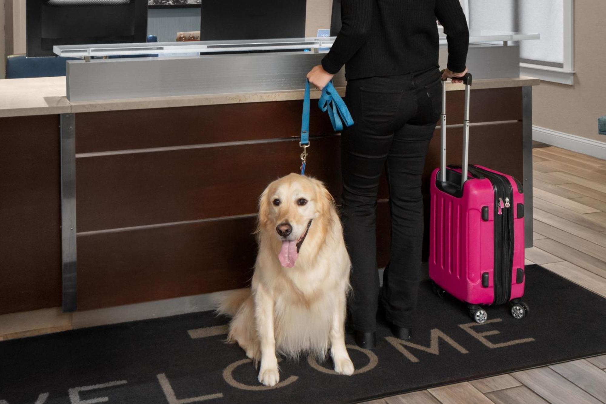 Residence Inn Boston Дедхэм Экстерьер фото